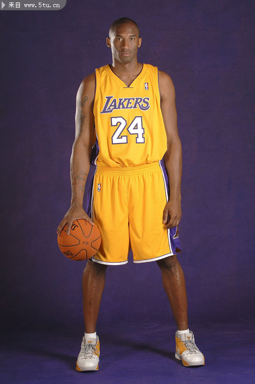 案例显示 案例显示