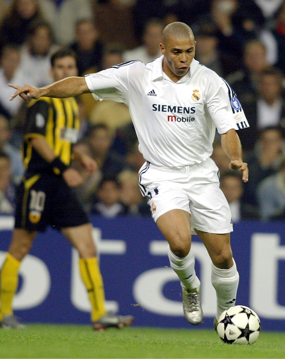 野区路径设 野区路径设